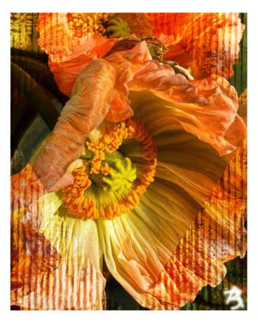 Золотые линии 41/5. фотофайл Photographic printing цветочный сюрреализм Uzbekistan 2023 - photo 1