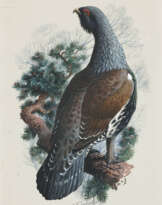 CHARLES FREDERICK TUNNICLIFFE, R.A. (BRITISH, 1901-1979)