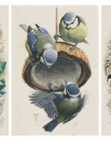 CHARLES FREDERICK TUNNICLIFFE, R.A. (BRITISH, 1901-1979)