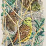 CHARLES FREDERICK TUNNICLIFFE, R.A. (BRITISH, 1901-1979) - photo 2