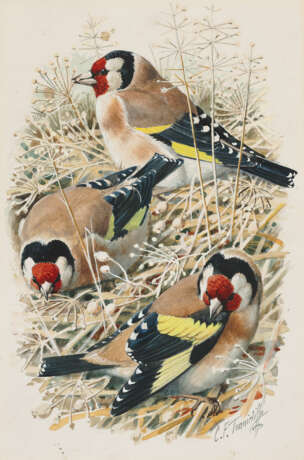 CHARLES FREDERICK TUNNICLIFFE, R.A. (BRITISH, 1901-1979) - photo 3