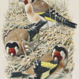 CHARLES FREDERICK TUNNICLIFFE, R.A. (BRITISH, 1901-1979) - photo 3