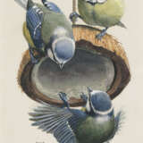 CHARLES FREDERICK TUNNICLIFFE, R.A. (BRITISH, 1901-1979) - photo 4