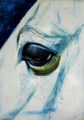 Portrait of a blue horse