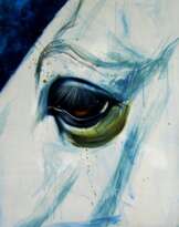 Portrait of a blue horse Portrait of a blue horse