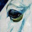 Portrait of a blue horse - Покупка в один клик