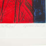 HAAS, WILLIBROD (b. 1936), 2 color aquatint etchings, - Foto 9