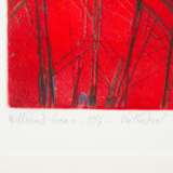 HAAS, WILLIBROD (b. 1936), 2 color aquatint etchings, - Foto 10