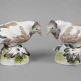 Meissen Paar Trommeltauben (Pigeon) - фото 1