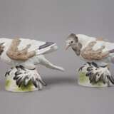 Meissen Paar Trommeltauben (Pigeon) - Foto 2