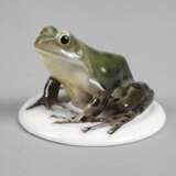 Rosenthal Laubfrosch - photo 1