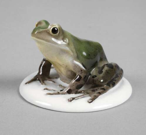 Rosenthal Laubfrosch - photo 1