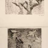 Emil Pottner, zwei Radierungen Enten im Teich - photo 1