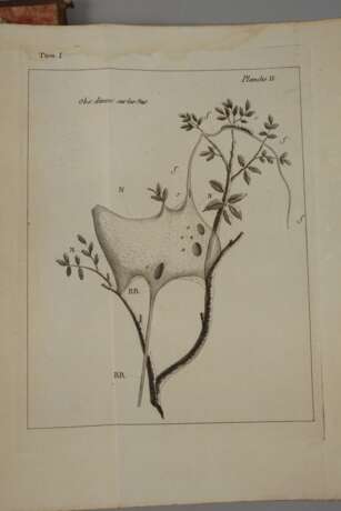 Œuvres de Charles Bonnet 1779 - фото 7