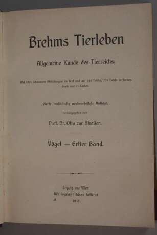 Brehms Tierleben 1912 - фото 4