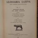 Glossaria Latina - Foto 2