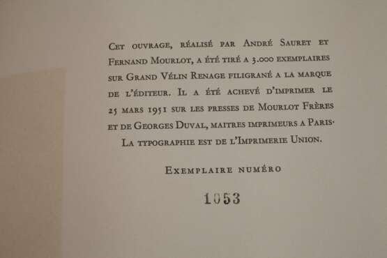 Les Lithographies de Renoir - фото 5