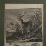Johann Elias Ridinger, Zwei Jagddarstellungen - photo 2