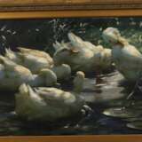 Alexander Koester, Fünf Enten im See - Foto 3
