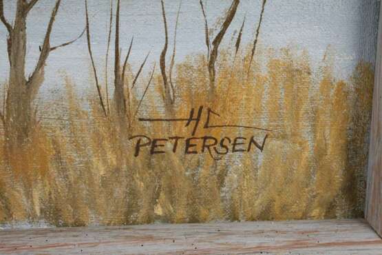 HC Petersen, Sommerabend im Moor - Foto 4
