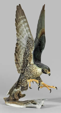 Adler im Anflug - фото 1