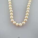 Perlenkette mit Goldschließe - einreihige Kette aus 56 Zuchtper - Foto 4