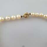 Perlenkette mit Goldschließe - einreihige Kette aus 56 Zuchtper - Foto 5