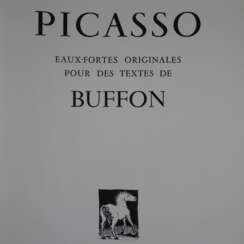 Picasso, Pablo (1881-1973, nach) - Mappe “Picasso. Eaux-fortes