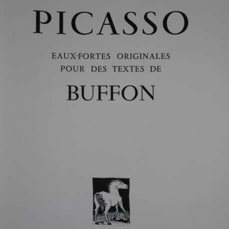 Picasso, Pablo (1881-1973, nach) - Mappe “Picasso. Eaux-fortes - фото 1