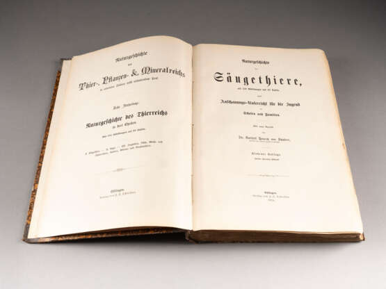 DR. GOTTHILF HEINRICH VON SCHUBERT 1780 Hohenstein-Ernsttha - Foto 1
