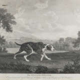 WILLIAM WOOLLETT 1735 Maidstone - 1785 London 'THE SPANISH - фото 1