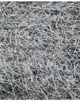 JOSÉ PARLÁ (B. 1973)