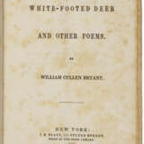 The White-Footed Deer and other Poems - photo 2