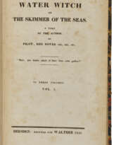 The Water Witch or the Skimmer of the Seas