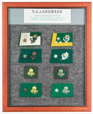 Schautafeln mit Kragenspiegel und Tätigkeitsabzeichen K.k. Landwehr - K.k. Landsturm - Foto 1