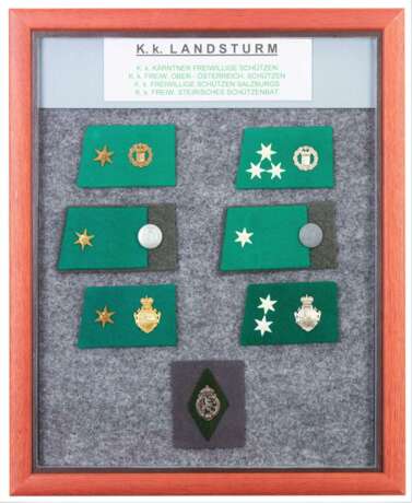 Schautafeln mit Kragenspiegel und Tätigkeitsabzeichen K.k. Landwehr - K.k. Landsturm - Foto 2