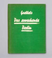 Buch: Das erwachende Berlin