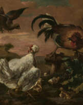 Casteels, Pieter III