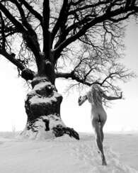 Winter Run to the Mighty Tree