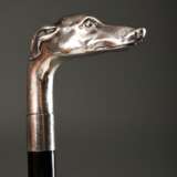 Gehstock mit Silber 925 Griff "Windhund", Gr. 10 (H. 93cm) - фото 4