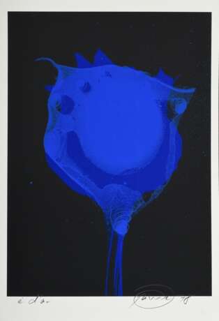 4 Piene, Otto (1928-2014) "o.T." (Blue Poppys) 1978, Farbserigraphien, in Portfolio mit Begleittext, e.a. (außerhalb der Auflage von 200), je u. sign./dat./bez., Edition "Galerie Klaus Lüpke/ Ffm.", BM 41,5x28,3cm, z.T. min. berieben, 1 Blatt mit Kratzer - фото 4