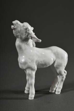 Meissen Figur „Junger Esel", Weißporzellan, Entw.: Erich Hösel 1943, Modellnr: 78778, Weißzeichen, H. 15,5cm - photo 2