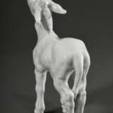 Meissen Figur „Junger Esel", Weißporzellan, Entw.: Erich Hösel 1943, Modellnr: 78778, Weißzeichen, H. 15,5cm - фото 3