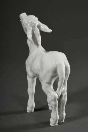 Meissen Figur „Junger Esel", Weißporzellan, Entw.: Erich Hösel 1943, Modellnr: 78778, Weißzeichen, H. 15,5cm - Foto 3