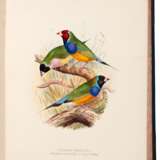 Foreign finches in captivity, 1894-96, contemporary green half morocco - photo 3