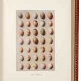 Eggs of the Birds of Europe, London, [1905-] 1910, 2 vols, red morocco gilt with Dresser emblem - photo 2