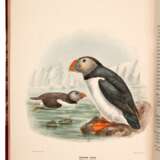 A history of the birds of Europe, 1871-96, 9 vol. including supplement, red half morocco - Foto 1