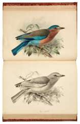 A Monograph of the Coraciidae, or the Family of the Rollers, Farnborough, 1893, red morocco gilt