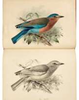 A Monograph of the Coraciidae, or the Family of the Rollers, Farnborough, 1893, red morocco gilt