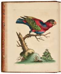 A Natural History of Uncommon Birds, London, 1743-64, 7 vols, contemporary calf rebacked
